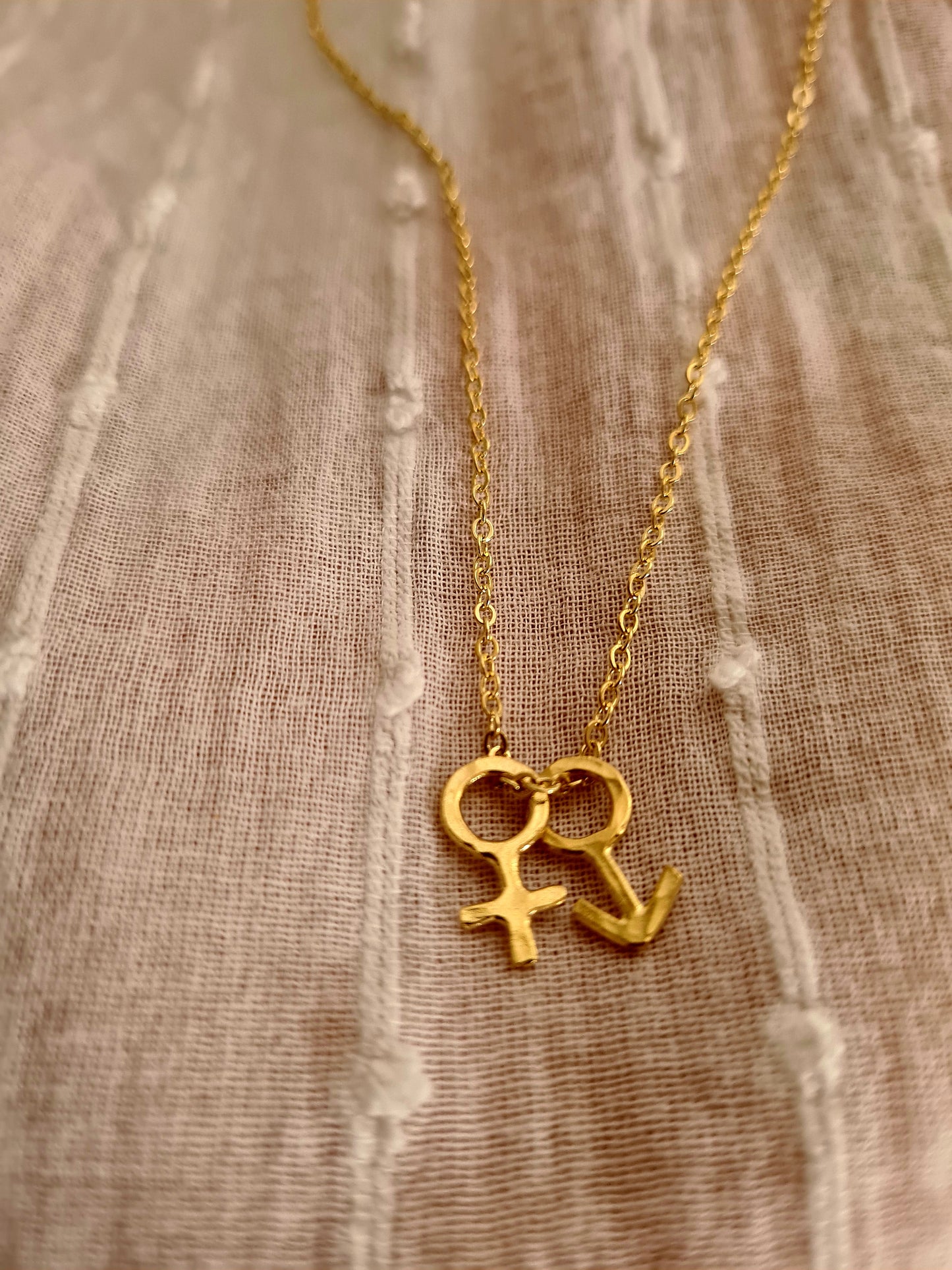 Gender Necklace 14K