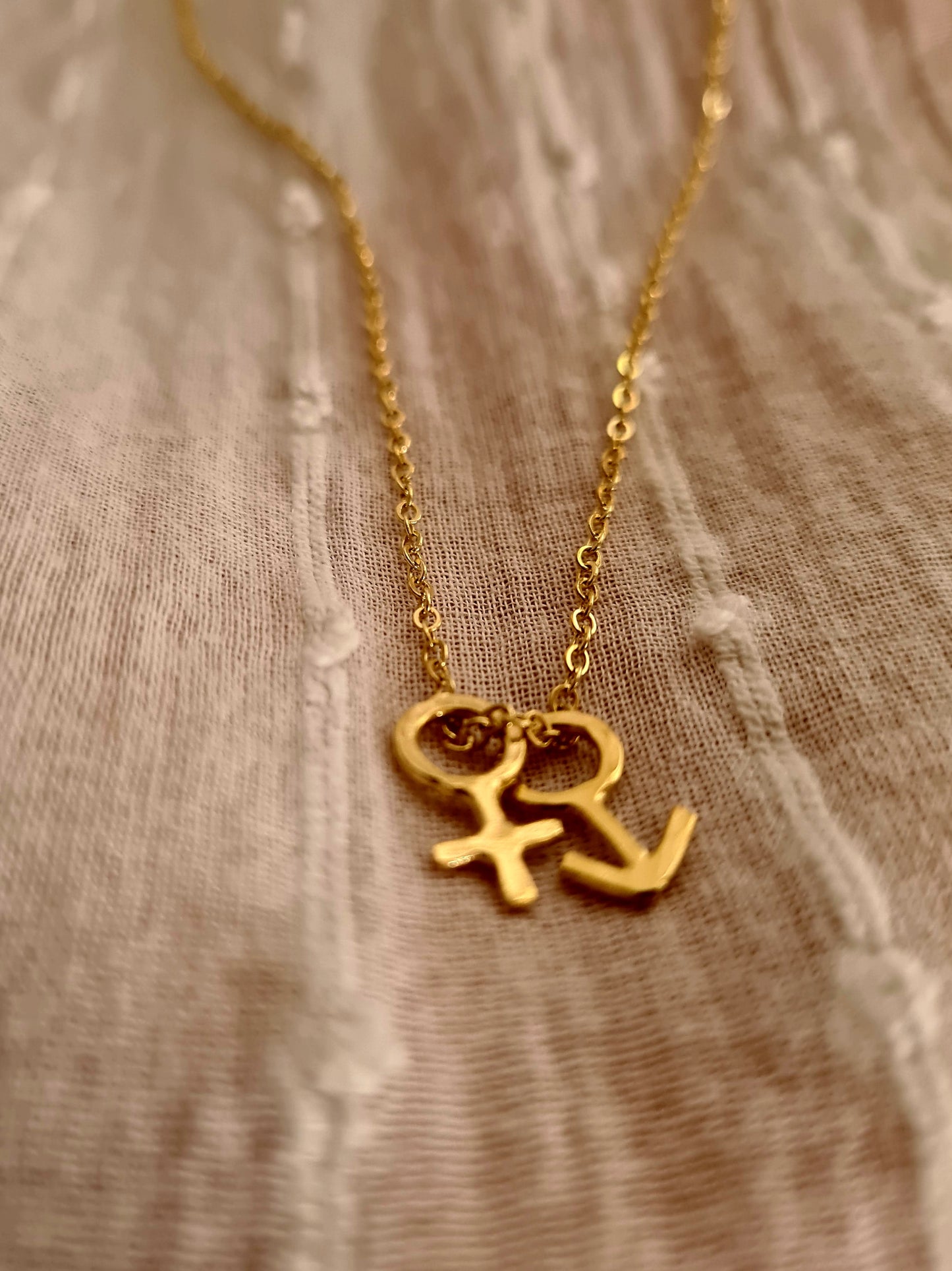 Gender Necklace 14K