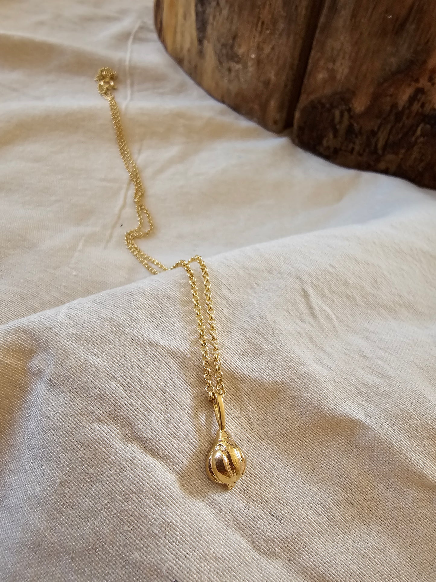 Garlic Amulet Necklace Gold Plated