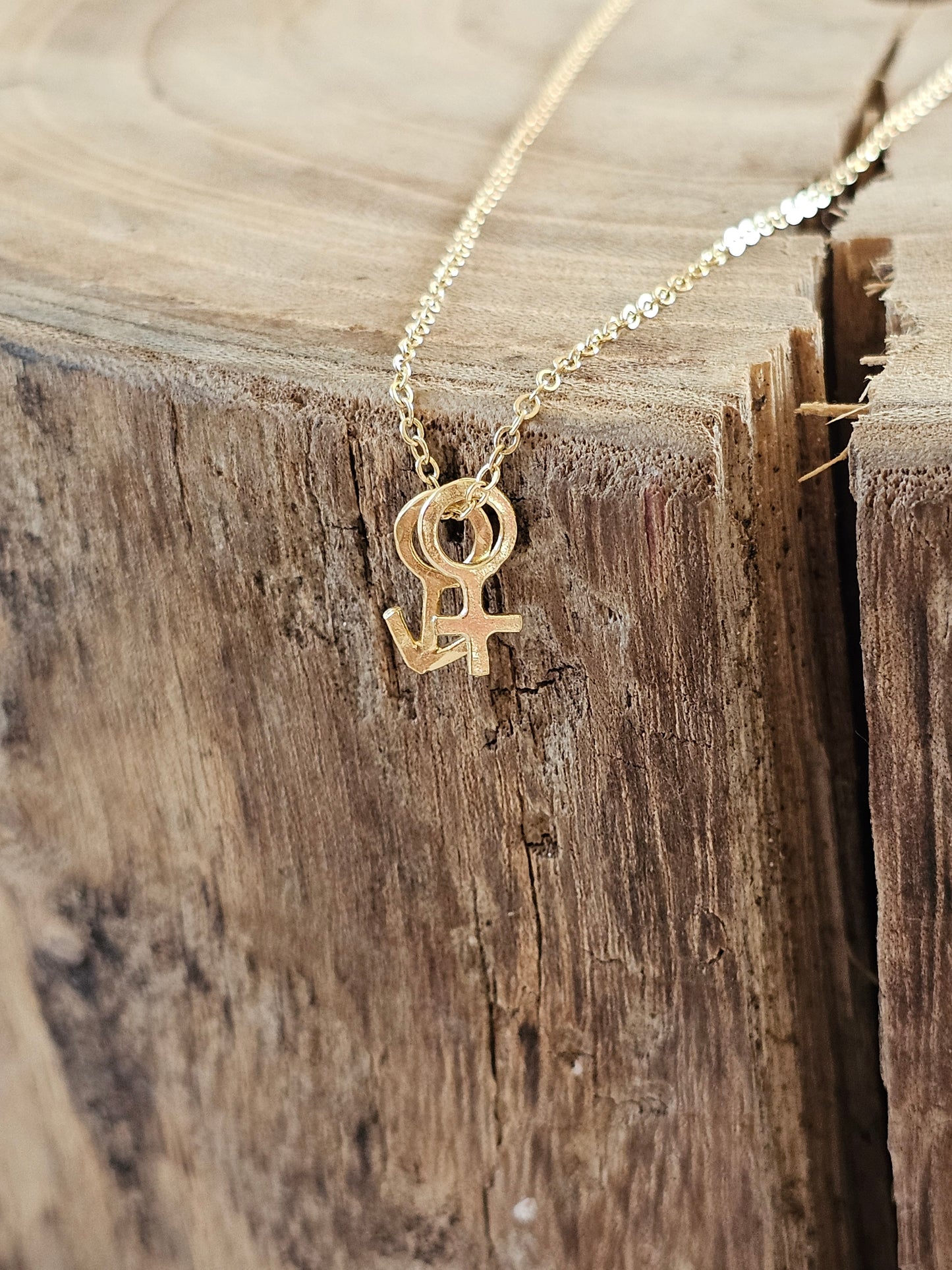 Gender Necklace 14K