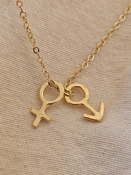 Gender Necklace 14K