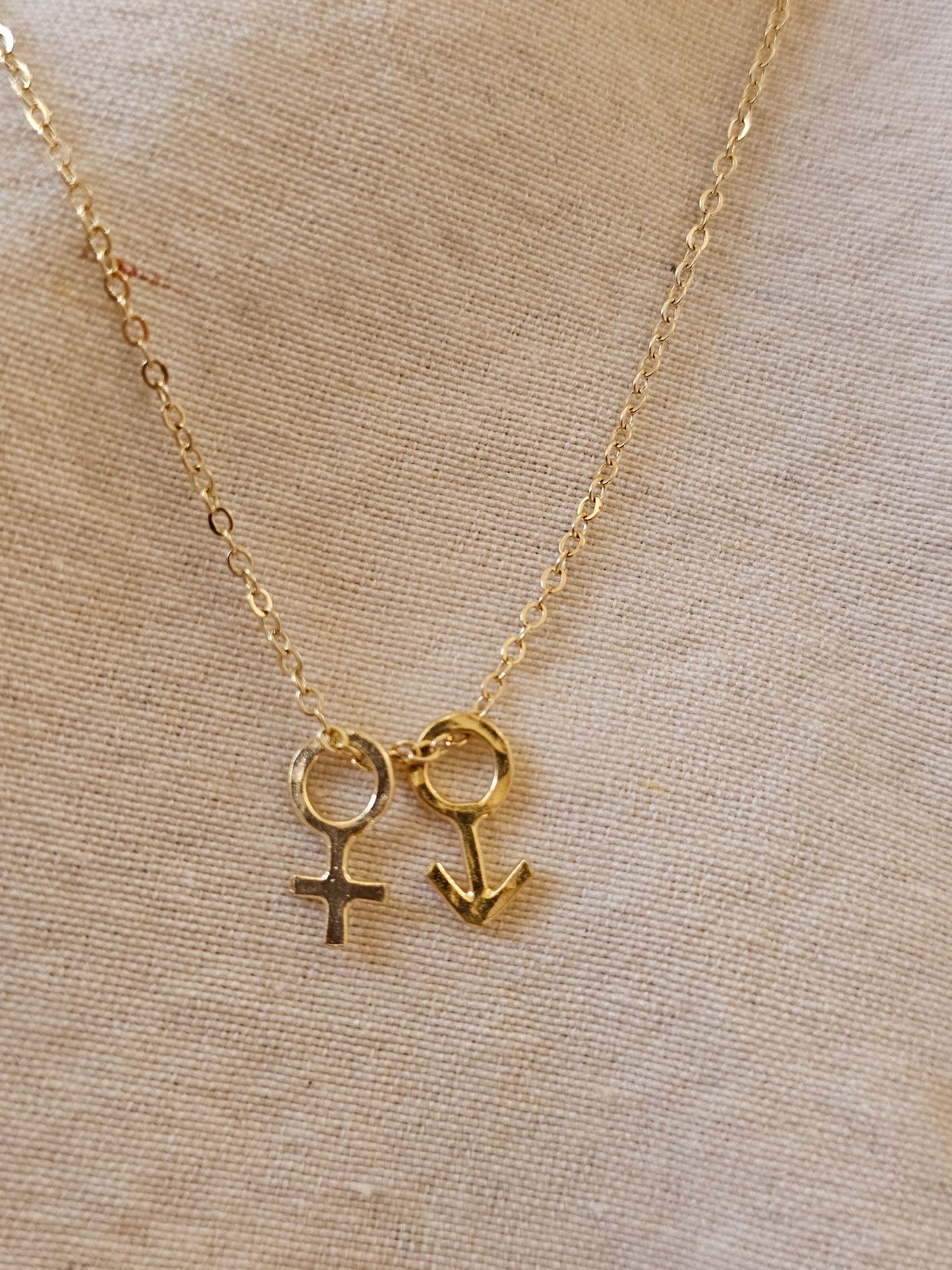 Gender Necklace 14K