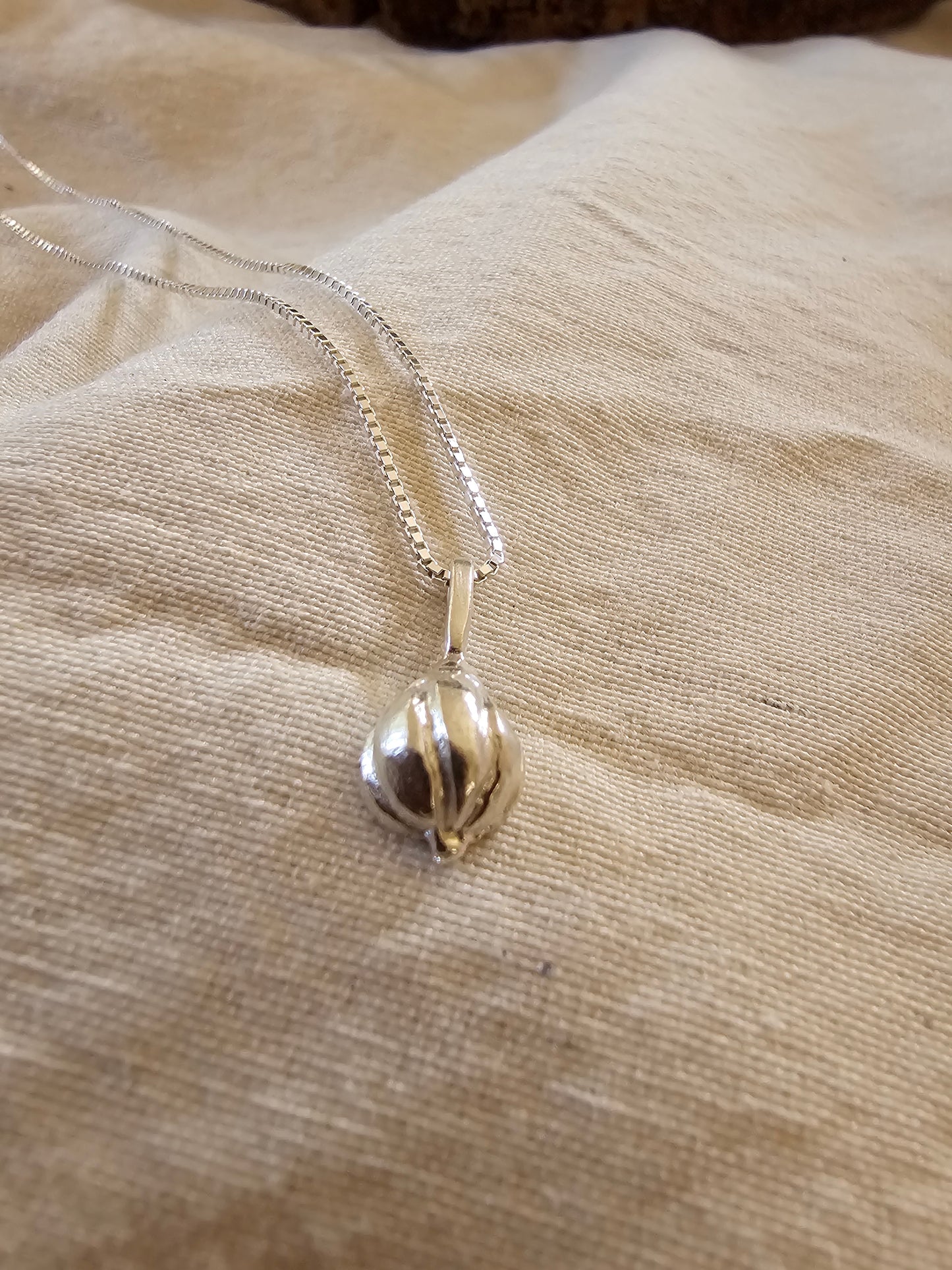 Garlic Amulet Necklace Silver