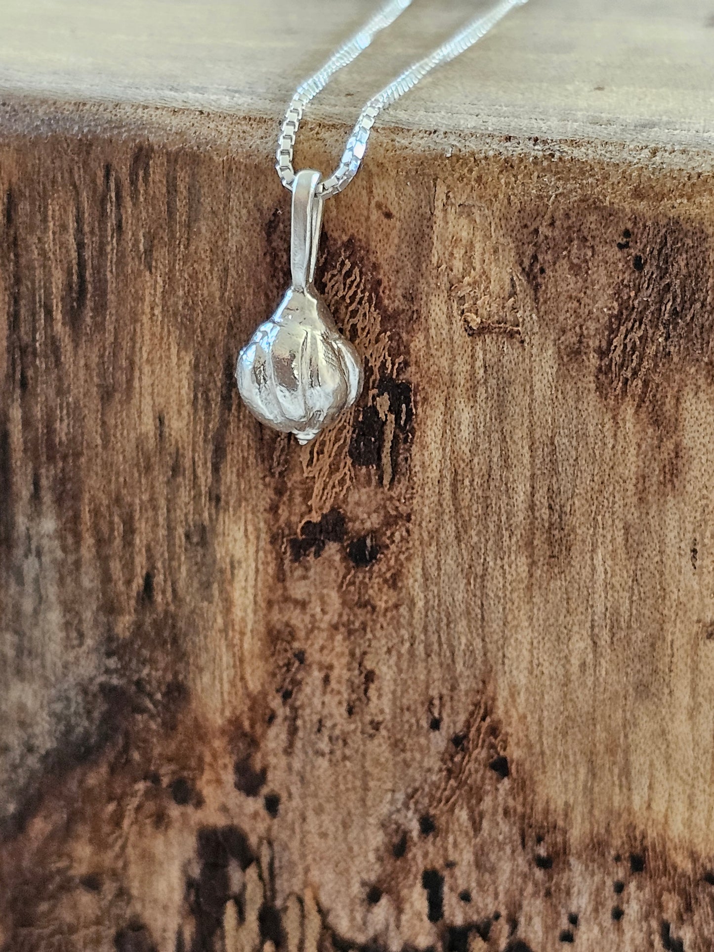 Garlic Amulet Necklace Silver