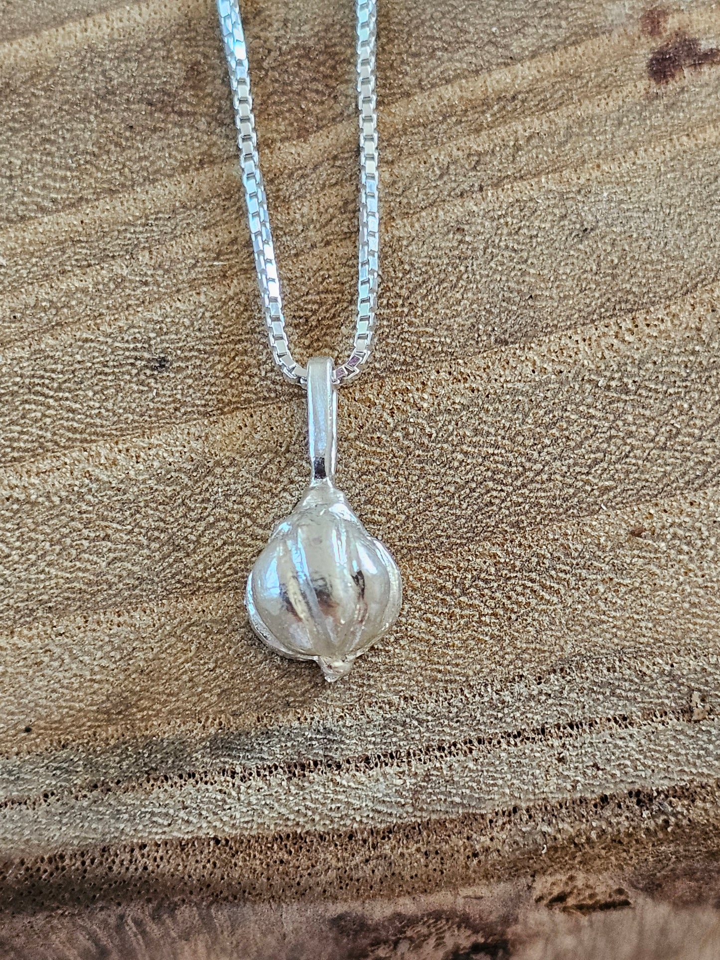 Garlic Amulet Necklace Silver