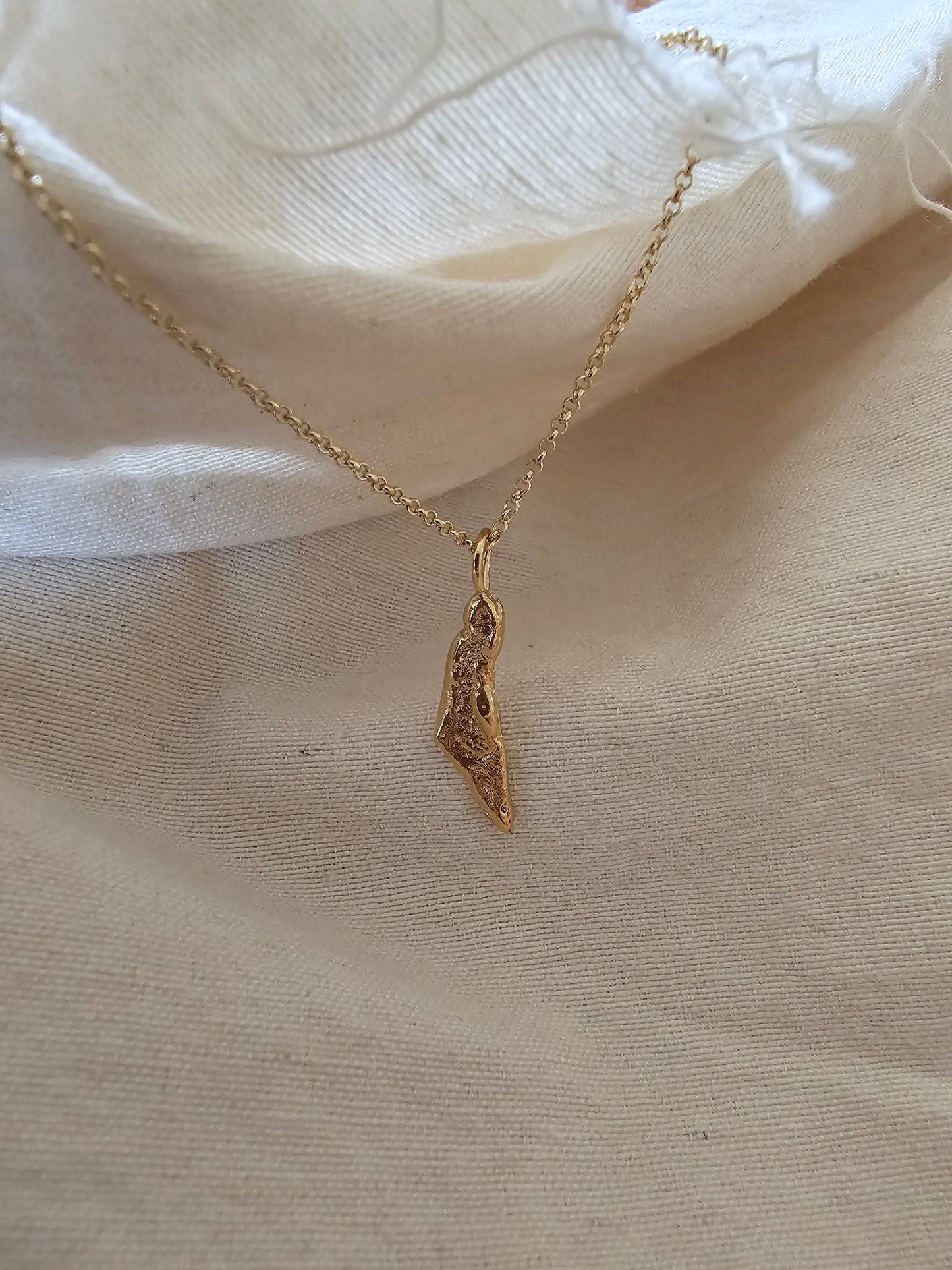 Israel Amulet Necklace 14K