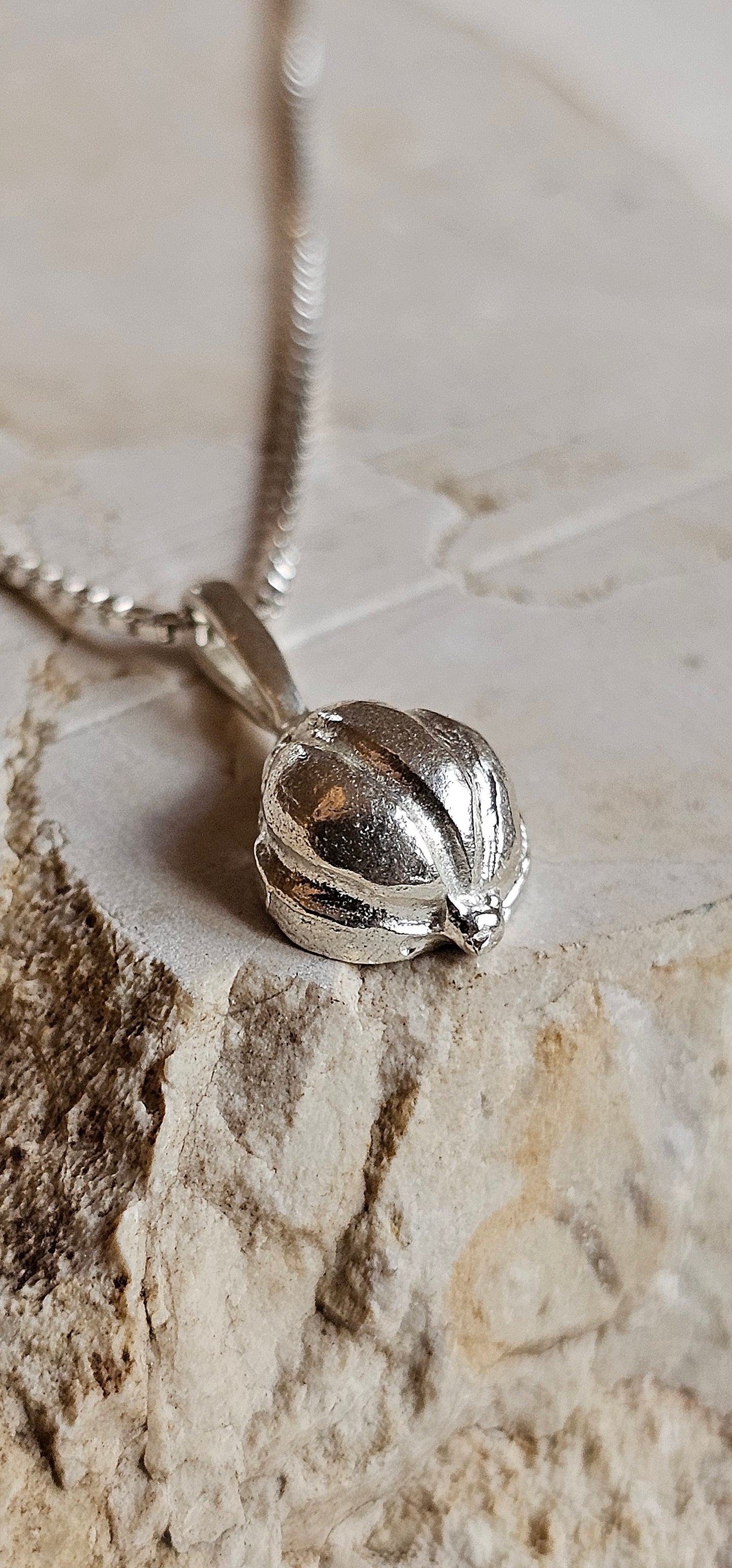 Garlic Amulet Necklace Silver